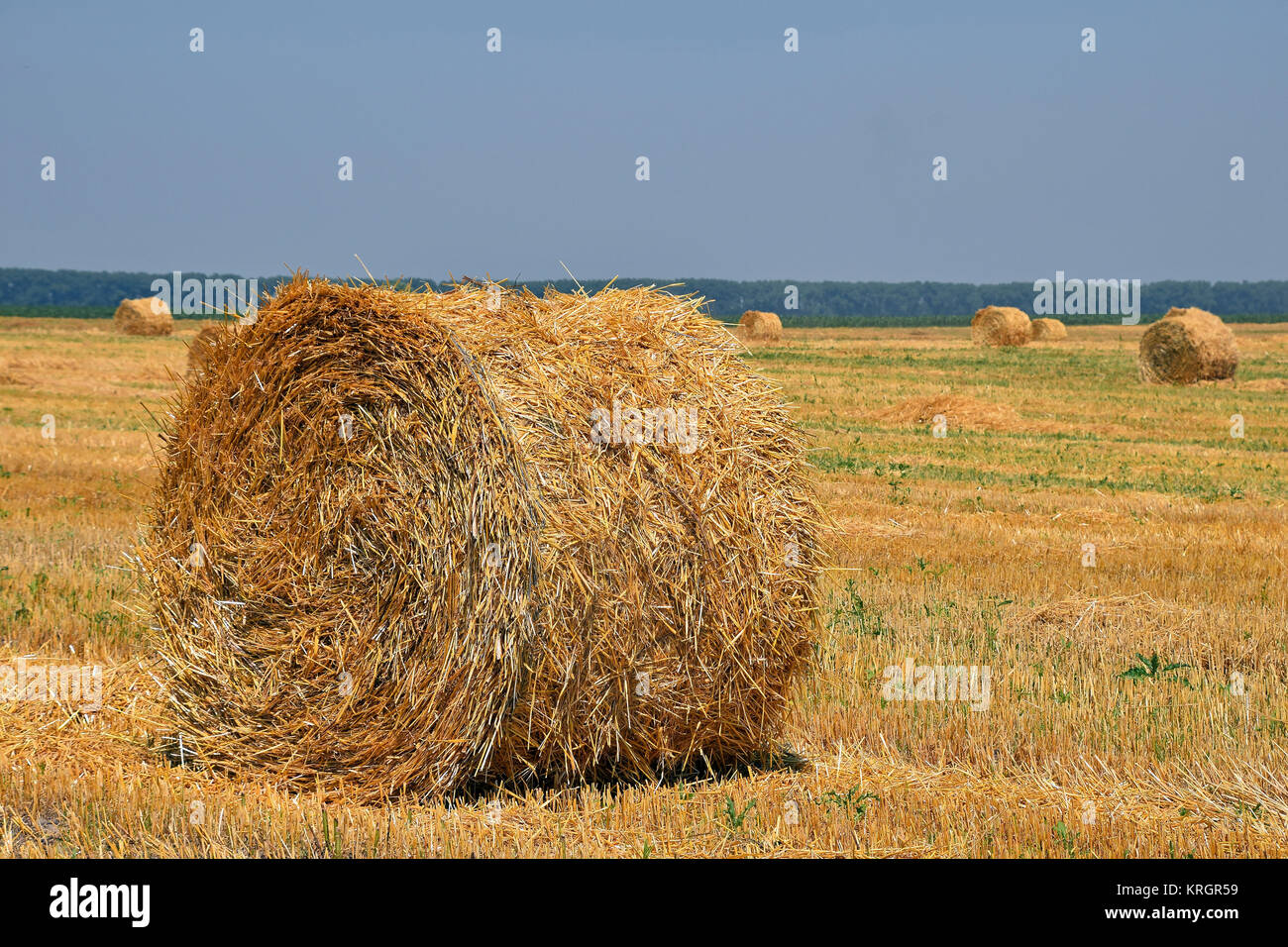Bale of straw in stubble field after harvesting Stock Photo - Alamy