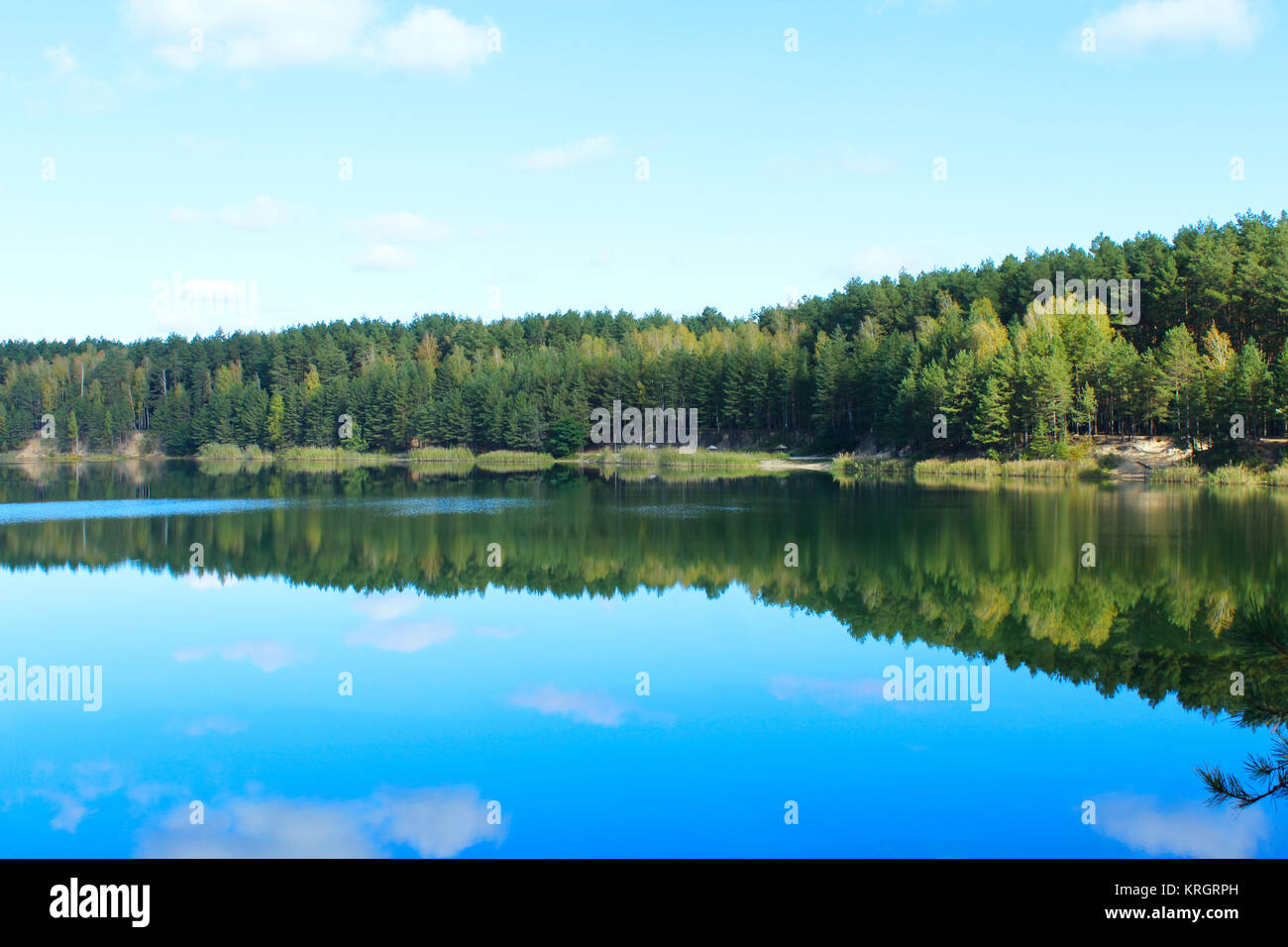 beautiful lake in the forest Stock Photo - Alamy