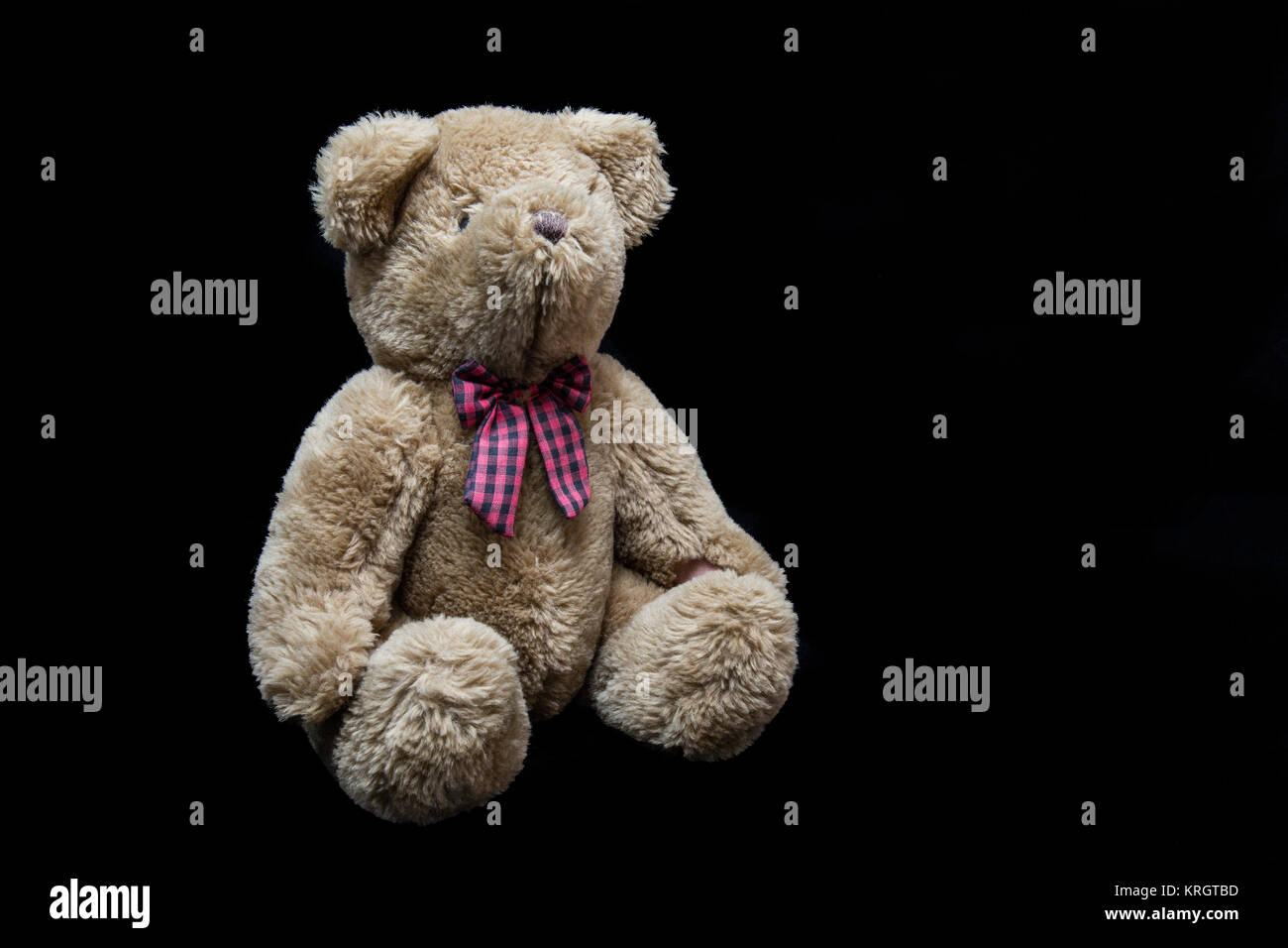 black and brown teddy bear