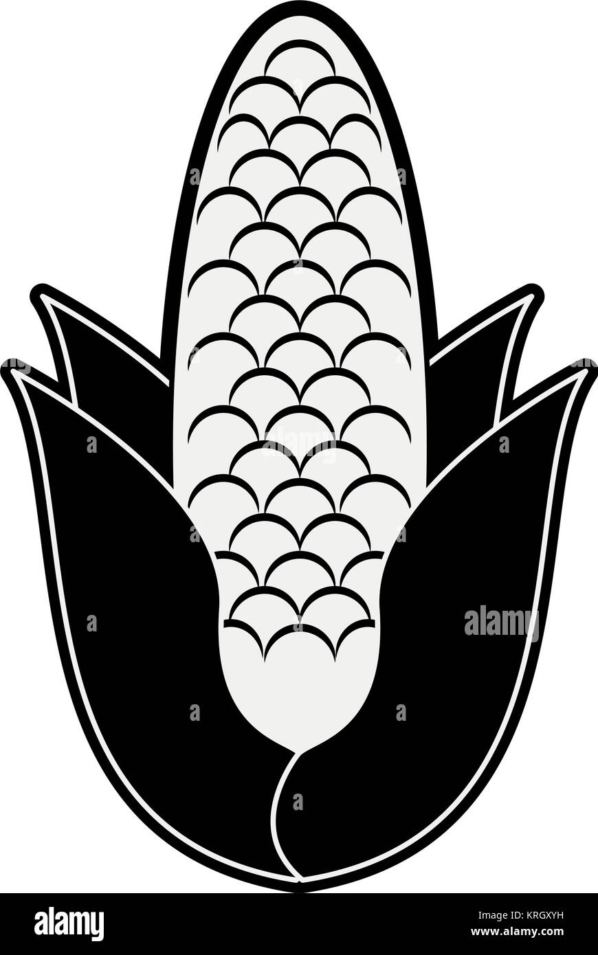 Corn vegetable isolated Stock Vector Image & Art - Alamy