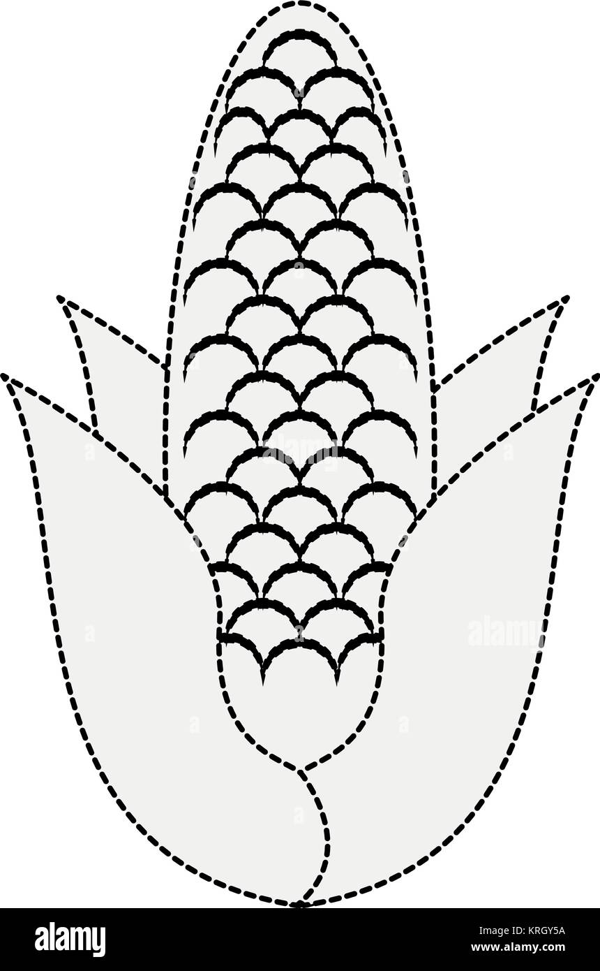 Corn vegetable isolated Stock Vector Image & Art - Alamy