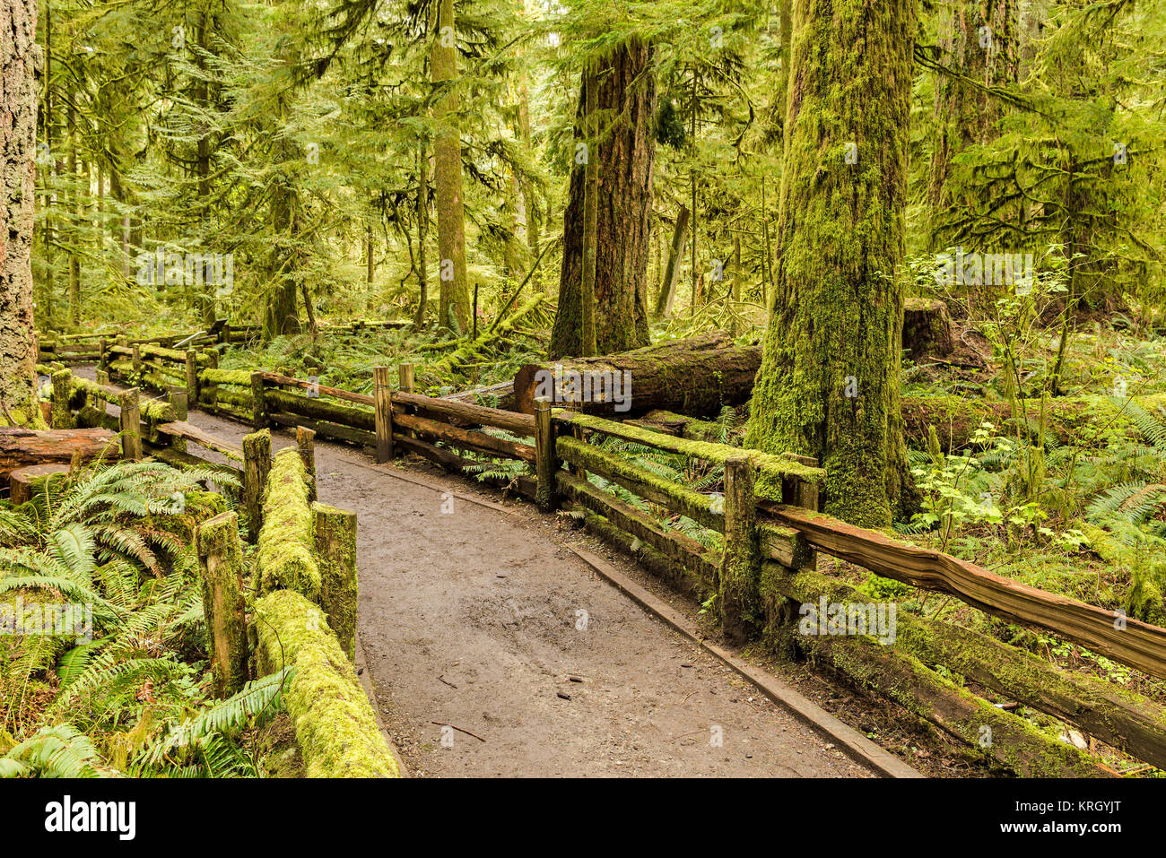 macmillan provincial park vancouver island