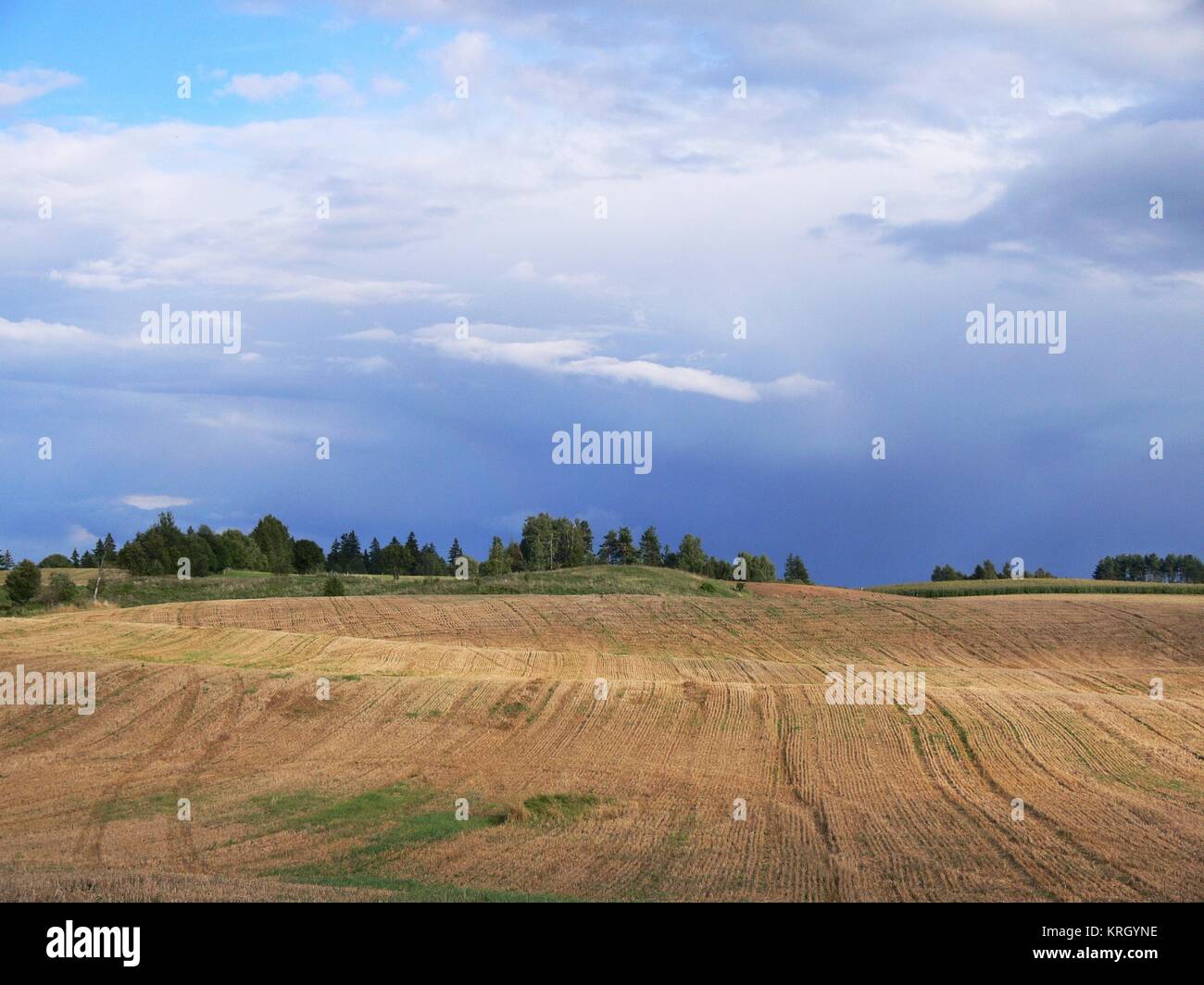 dark, stormy sky and field 1 Stock Photo - Alamy