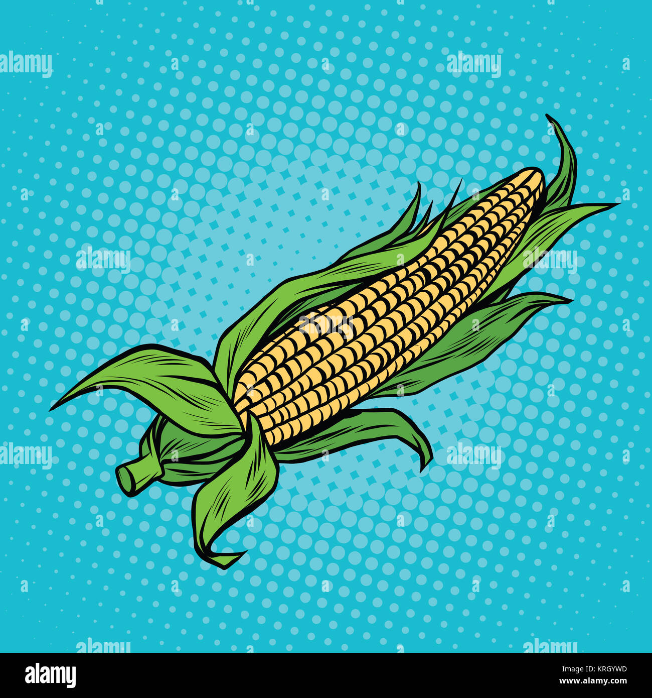 Ear of corn, harvest, agriculture Stock Photo Alamy
