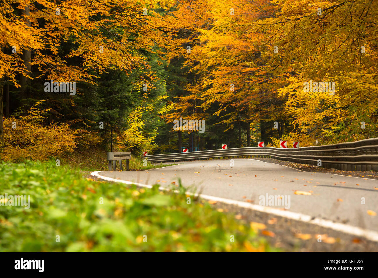 Autumn landscape with road and beautiful colored trees Stock Photo - Alamy