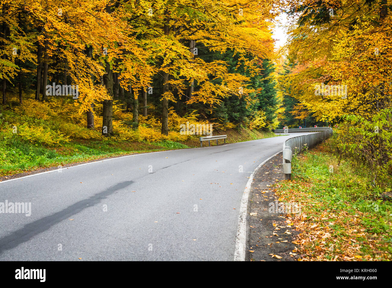 Autumn landscape with road and beautiful colored trees Stock Photo - Alamy