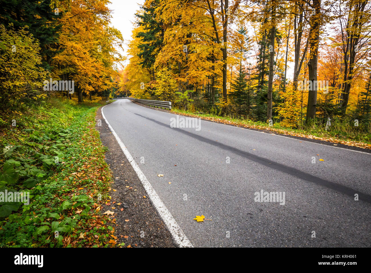 Autumn landscape with road and beautiful colored trees Stock Photo - Alamy