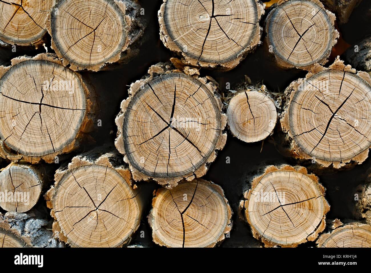 Log wood pile Stock Photo Alamy