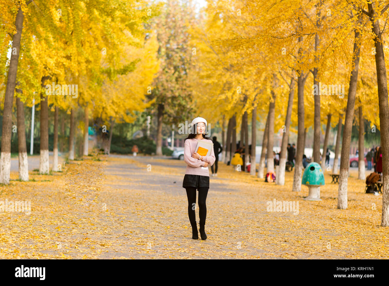 Fall girl holding the book for a walk in the path through the woods Stock Photo