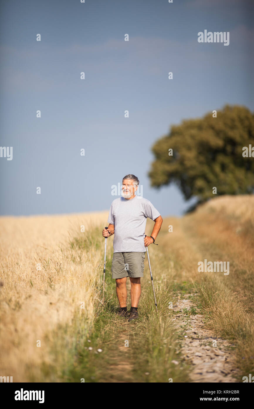 Active handsome senior man nordic walking outdoors on a forest path, enjoying his retirement Stock Photo