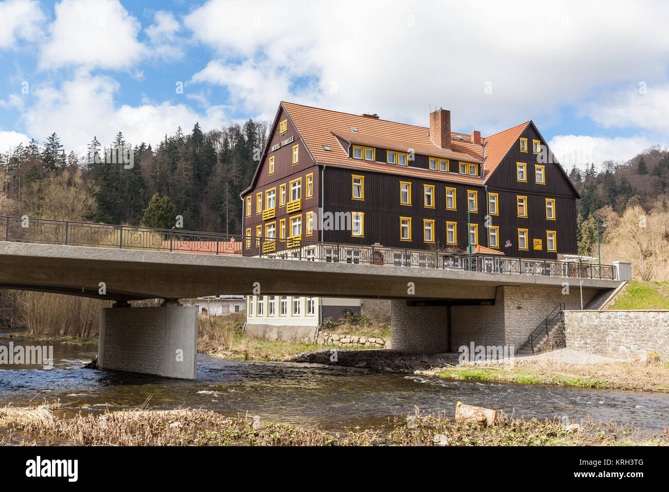 forelle in treseburg harz Stock Photo