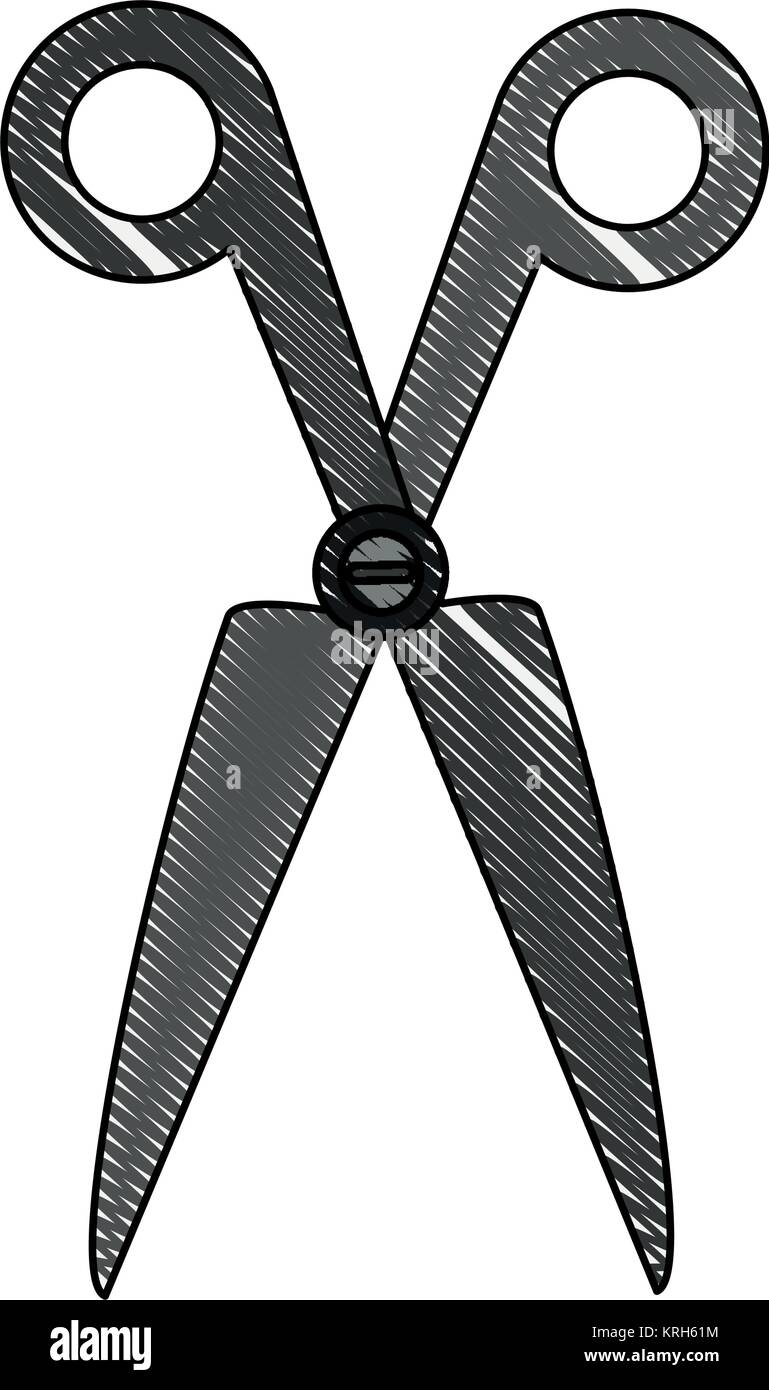 Scissor utensil isolated Stock Vector Image & Art Alamy