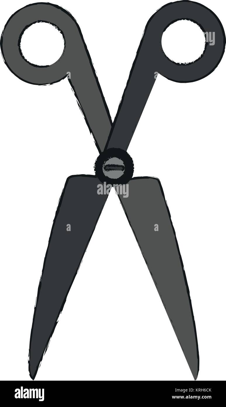 Scissor utensil isolated Stock Vector Image & Art Alamy