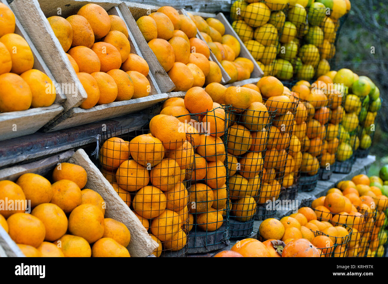 Sale of mandarin orange tangerines in wooden boxes and packing from a