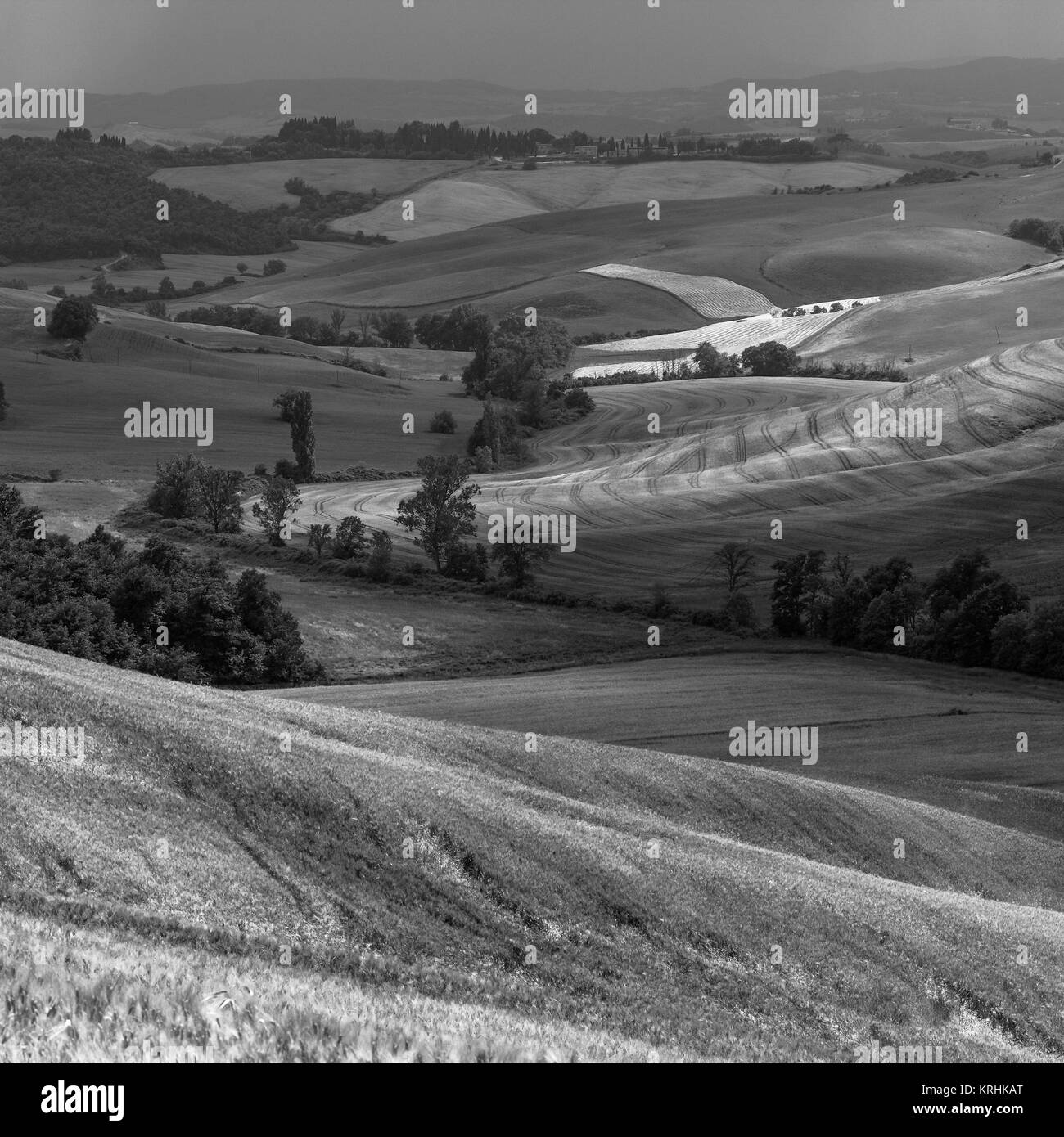 Rural landscape view tuscany Black and White Stock Photos & Images - Alamy