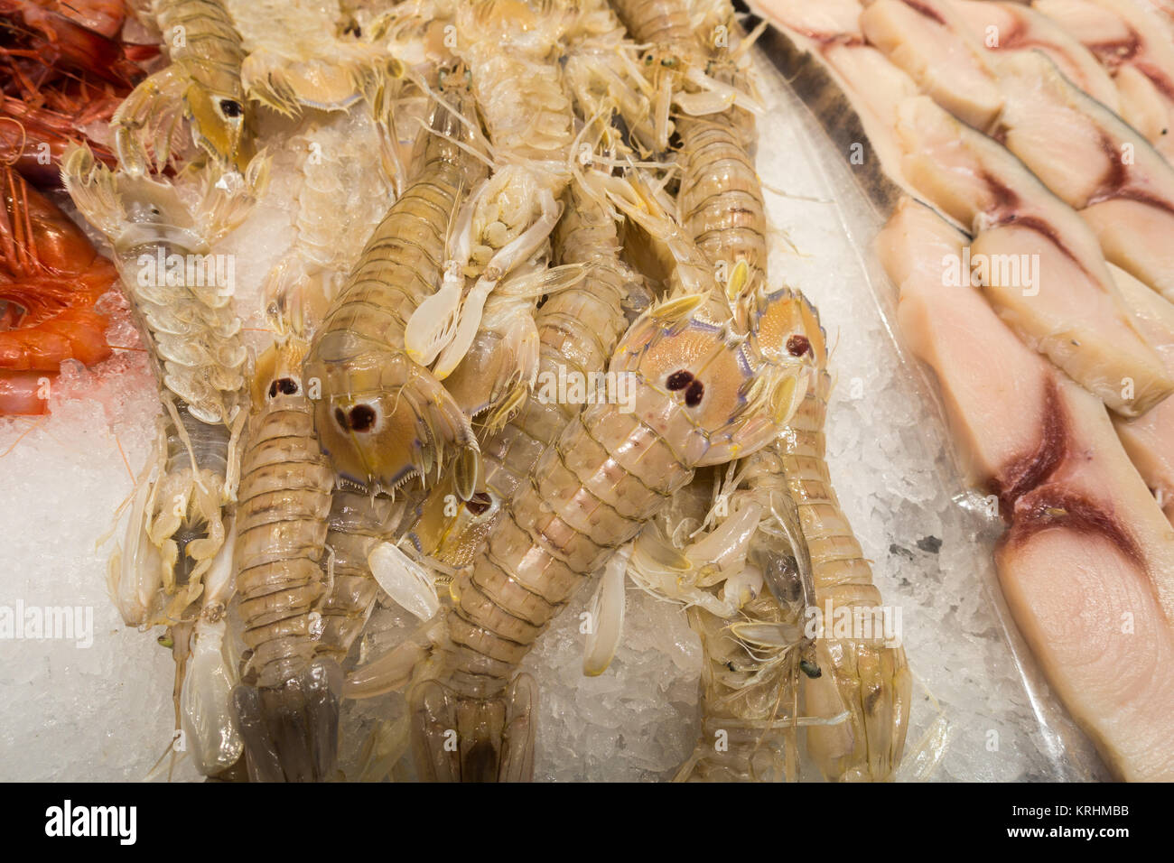 Fresh raw fish, shellfish, king prawns and seafood in a Spanish