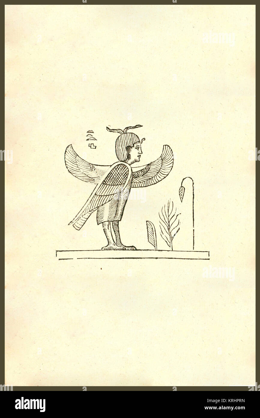 'Harpyae secunda icon, Egyptian harpy.  Renaissance  Woodcut monsters.  From the 1642 book Monstrorum Historia by Ulisse Aldrovandi  (Bologna, 1522-1605).   He is considered the founder of modern Natural History.  In Greek mythology and Roman mythology, a harpy was a female monster in the form of a bird with a human face. They steal food from their victims while they are eating and carry evildoers (especially those who have killed their family) to the Erinyes. They seem originally to have been wind spirits. Their name means ''snatchers''.' Stock Photo