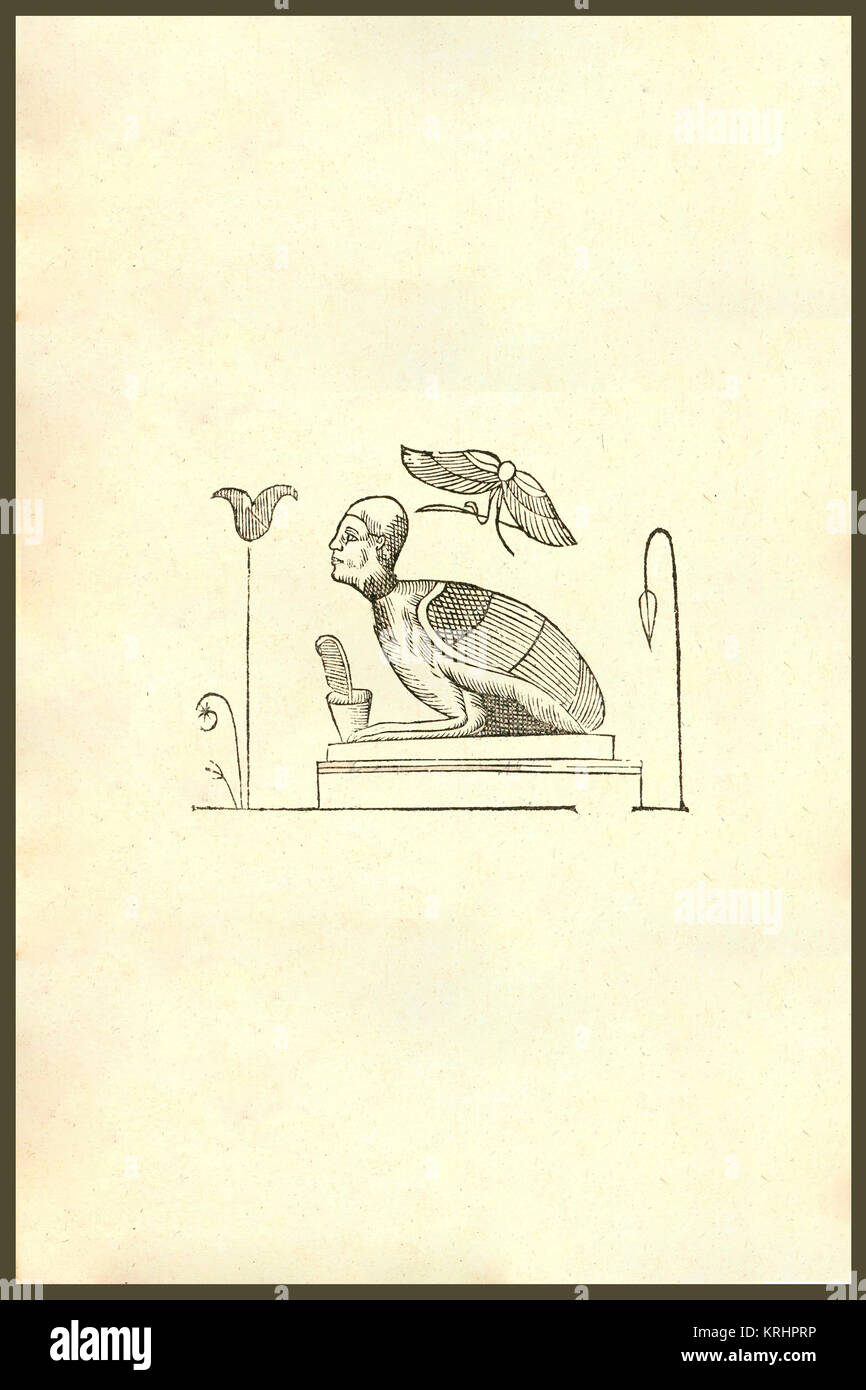 'Harpyae tertia icon, Persian harpy.  Renaissance  Woodcut monsters.  From the 1642 book Monstrorum Historia by Ulisse Aldrovandi  (Bologna, 1522-1605).   He is considered the founder of modern Natural History.  In Greek mythology and Roman mythology, a harpy was a female monster in the form of a bird with a human face. They steal food from their victims while they are eating and carry evildoers (especially those who have killed their family) to the Erinyes. They seem originally to have been wind spirits. Their name means ''snatchers''.' Stock Photo