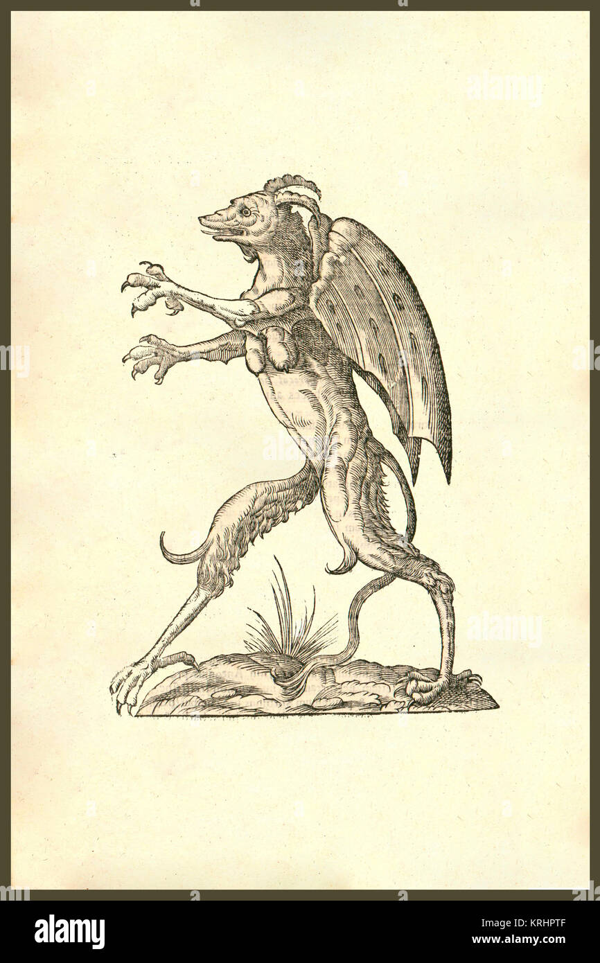 'Monstrum alatum et cornutum instar cacodaemonis,winged,horned monster,like an evil demon with wings.     Renaissance woodcut of a monster.  From the 1642 book Monstrorum Historia by Ulisse Aldrovandi  (Bologna, 1522-1605).   He is considered the founder of modern Natural History.' Stock Photo