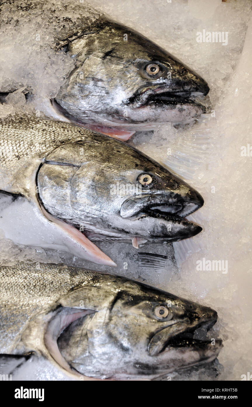Three fresh salmon on ice at the market Stock Photo - Alamy