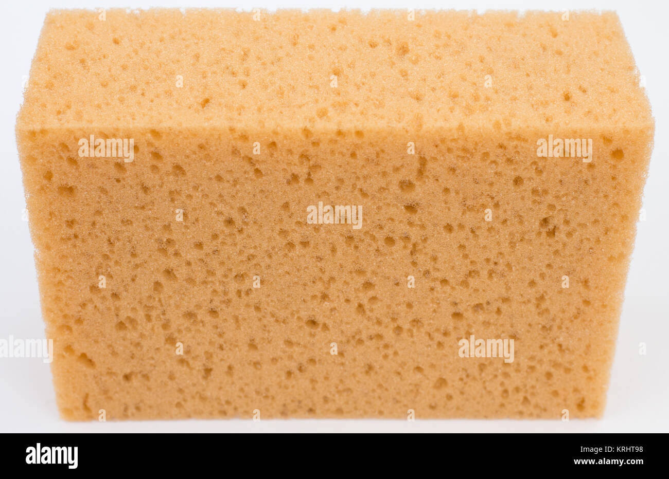a sponge,closeup,detail,cut out Stock Photo Alamy