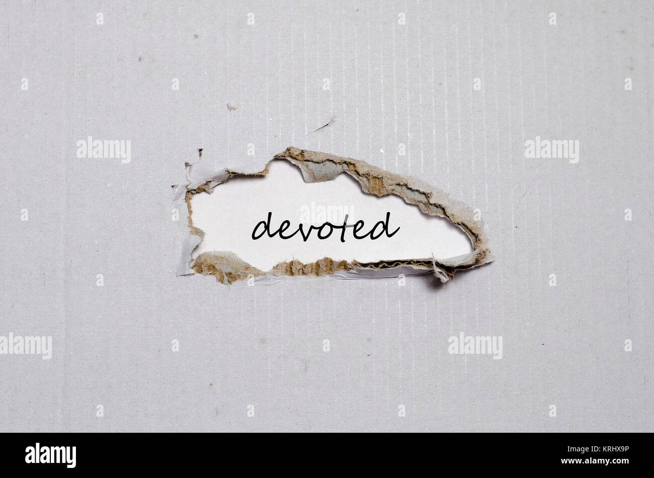 The word devoted appearing behind torn paper Stock Photo