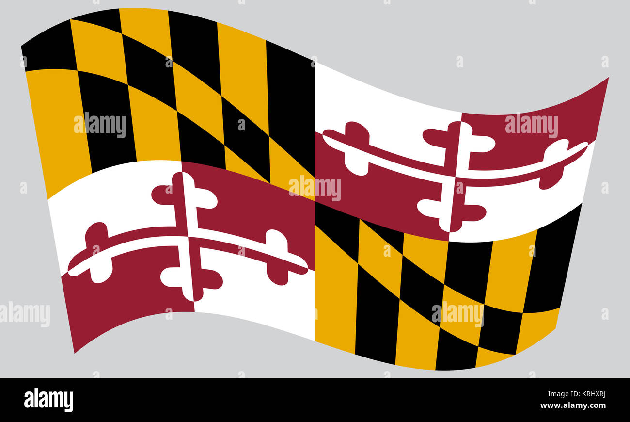 Flag of Maryland waving on gray background Stock Photo - Alamy