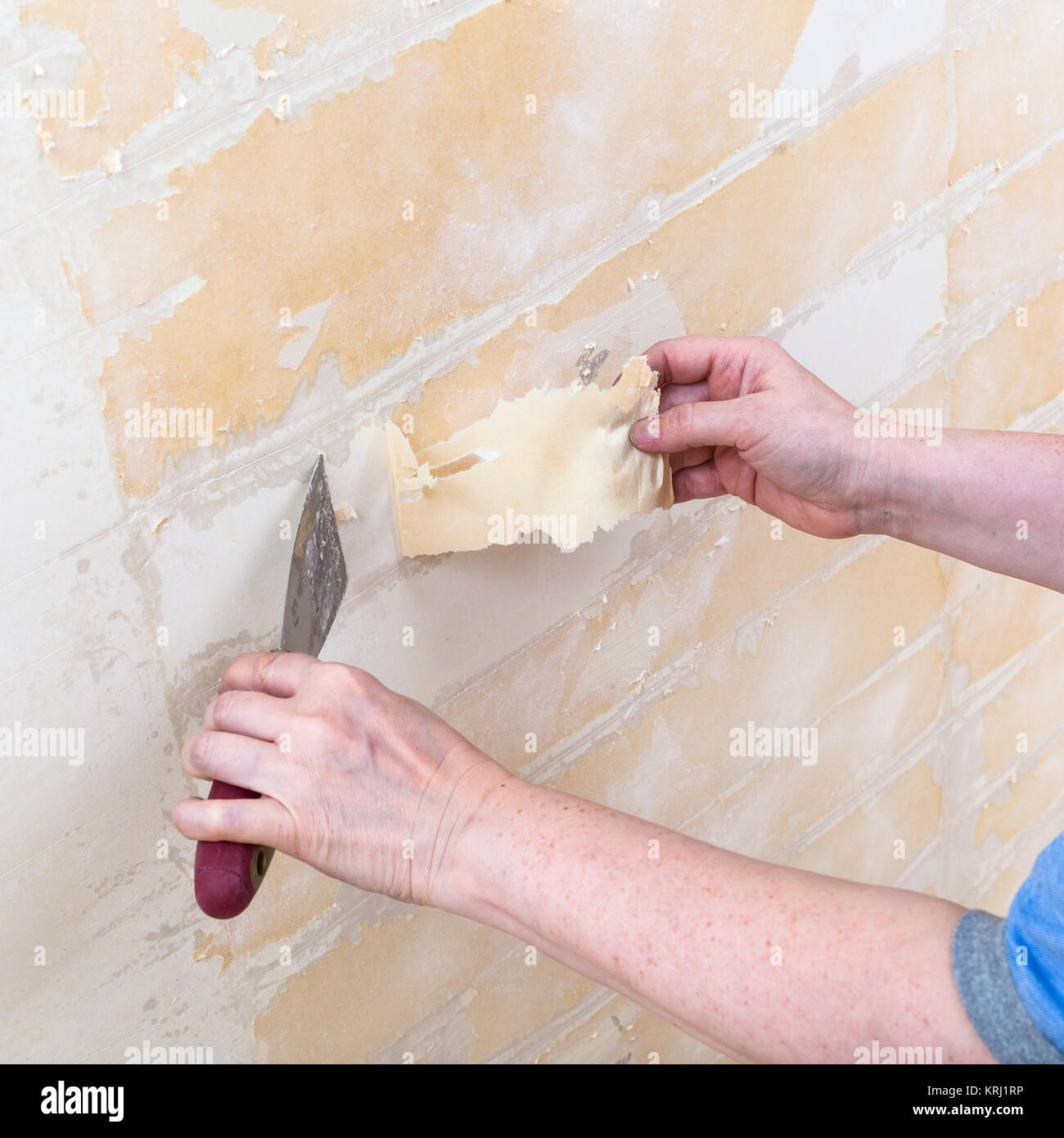 cleaning wall from backing before wallpapering Stock Photo Alamy