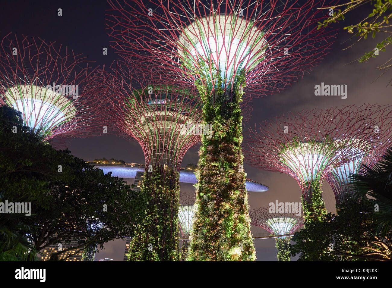 Marina Bay Sands Hotel and SkyPark behind the Supertree Grove - incredible modern architecture in Singapore Stock Photo