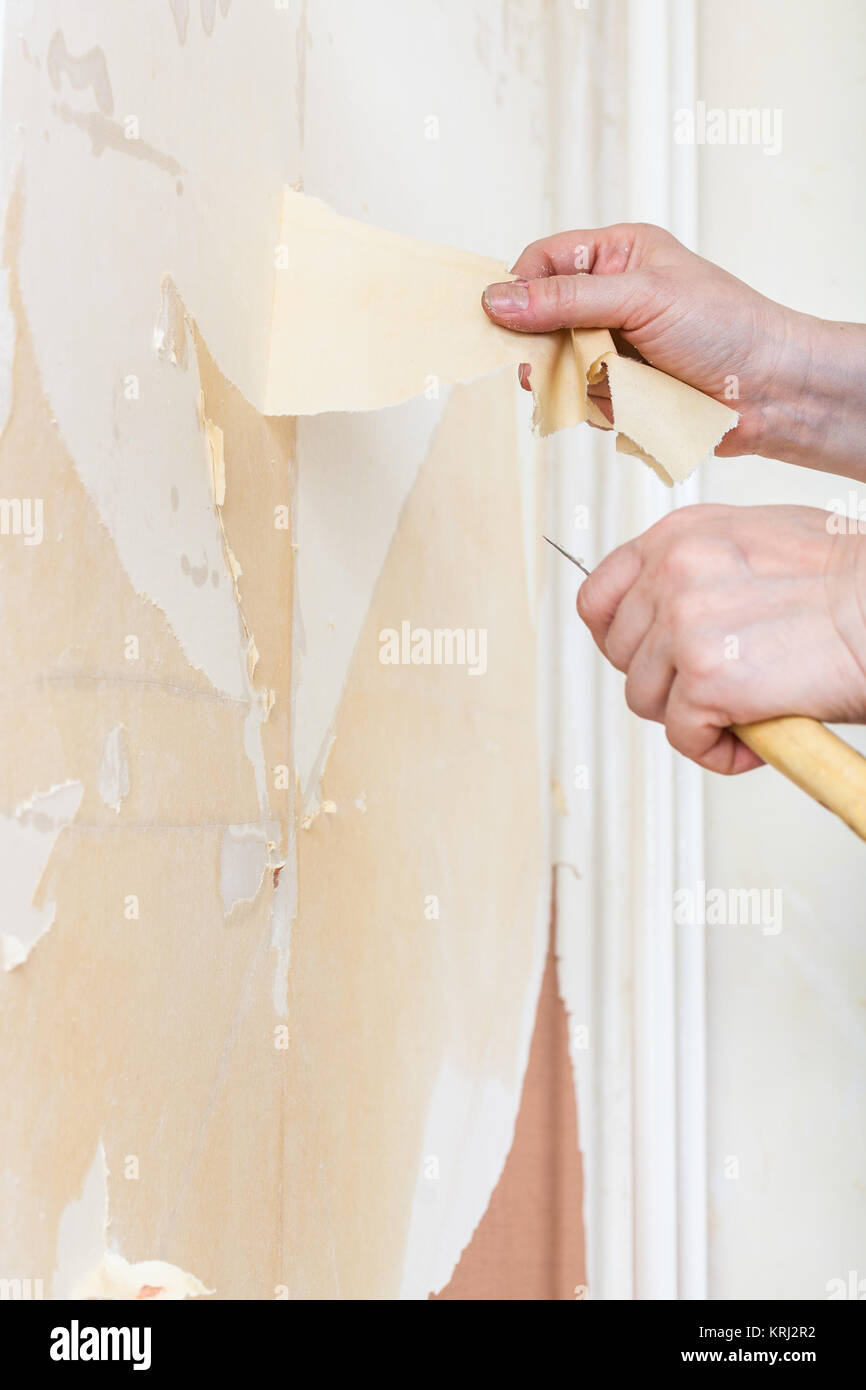 Removing of wallpaper backing from the wall Stock Photo Alamy