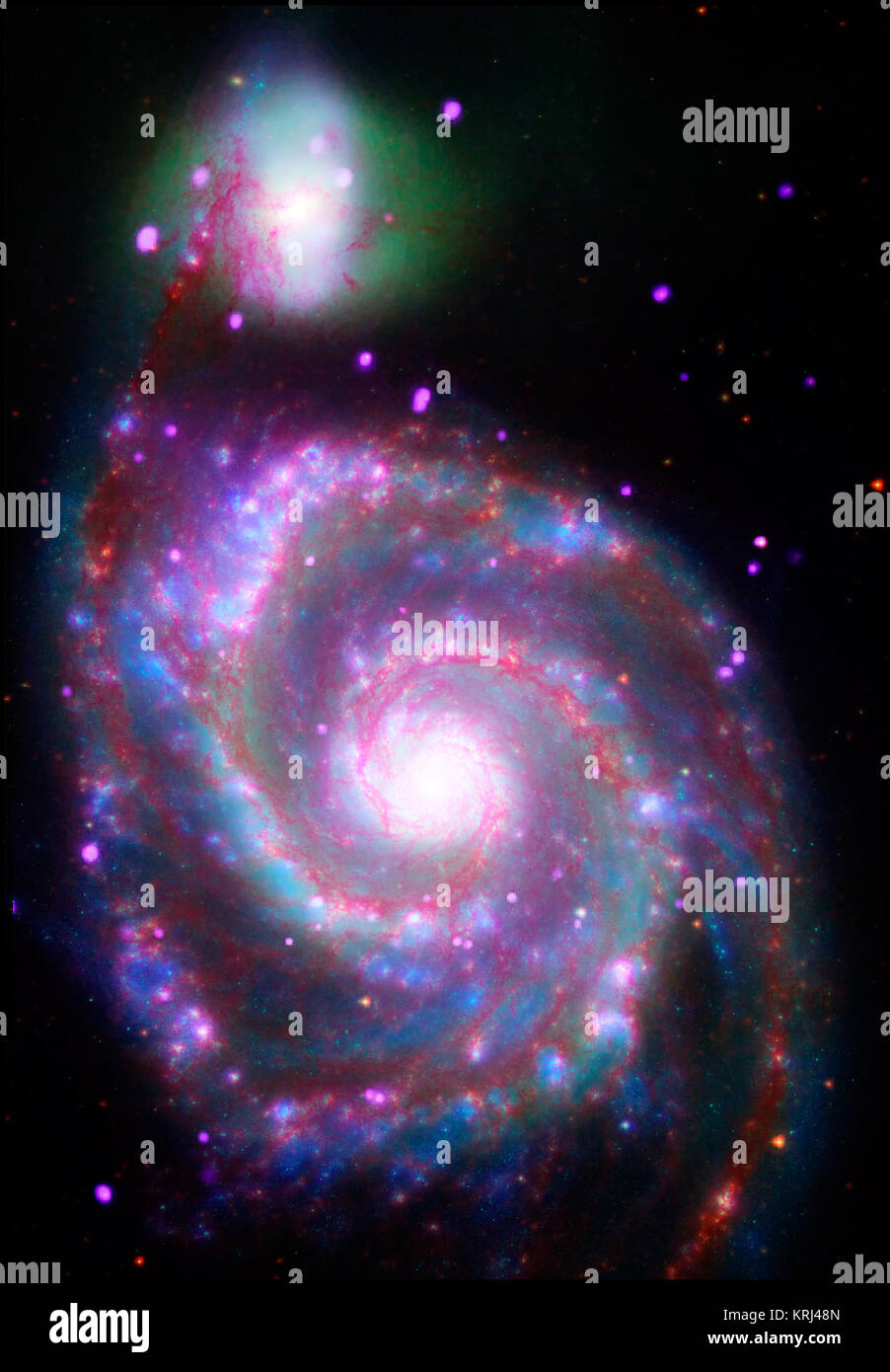 M51, whose name comes from being the 51st entry in Charles Messier's catalog, is considered to be one of the classic examples of a spiral galaxy. At a distance of about 30 million light years from Earth, it is also one of the brightest spirals in the night sky. A composite image of M51, also known as the Whirlpool Galaxy, shows the majesty of its structure in a dramatic new way through several of NASA's orbiting observatories. X-ray data from NASA's Chandra X-ray Observatory reveals point-like sources (purple) that are black holes and neutron stars in binary star systems. Chandra also detects  Stock Photo