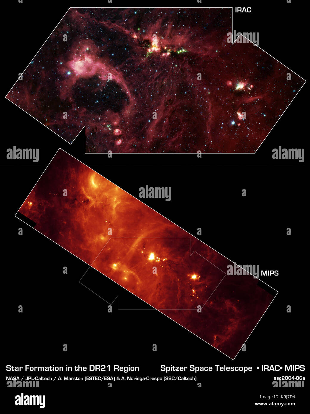 Hidden behind a shroud of dust in the constellation Cygnus is an exceptionally bright source of radio emission called DR21. Visible light images reveal no trace of what is happening in this region because of heavy dust obscuration. In fact, visible light is attenuated in DR21 by a factor of more than 10,000,000,000,000,000,000,000,000,000, 000,000,000,000 (ten thousand trillion heptillion).  New images from NASA's Spitzer Space Telescope allow us to peek behind the cosmic veil and pinpoint one of the most massive natal stars yet seen in our Milky Way galaxy. The never-before-seen star is 100,0 Stock Photo