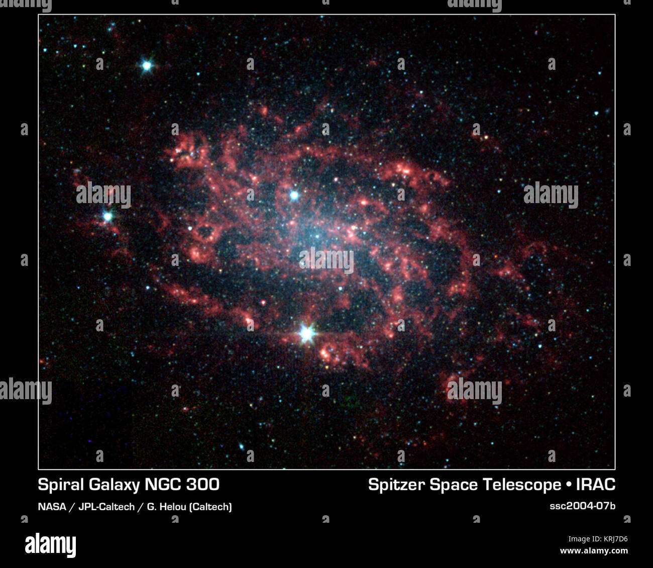 Sometimes, the best way to understand how something works is to take it apart. The same is true for galaxies like NGC 300, which NASA's Spitzer Space Telescope has divided into its various parts. NGC 300 is a face-on spiral galaxy located 7.5 million light-years away in the southern constellation Sculptor.  This false-color image taken by the infrared array camera on Spitzer readily distinguishes the main star component of the galaxy (blue) from its dusty spiral arms (red). The star distribution peaks strongly in the central bulge where older stars congregate, and tapers off along the arms whe Stock Photo