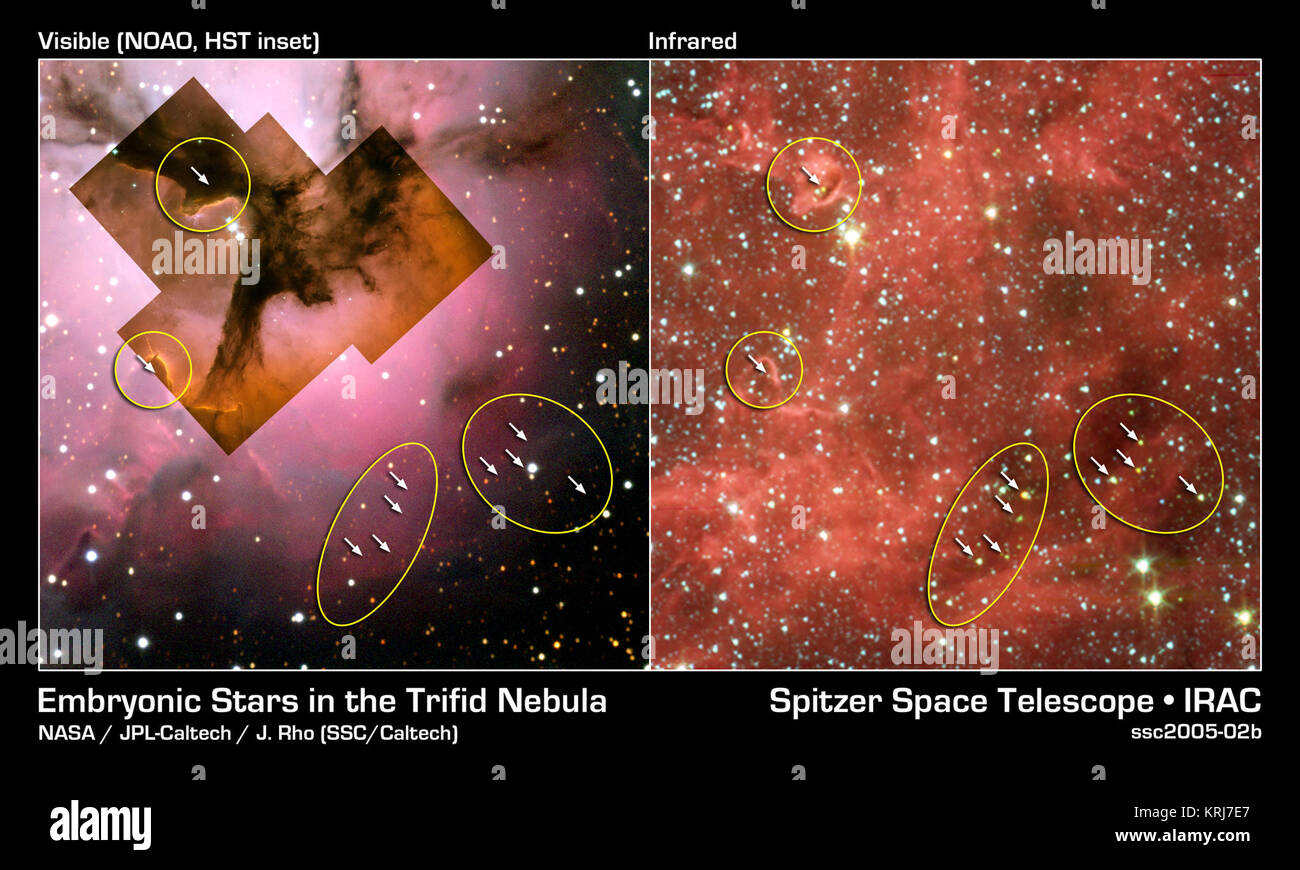 This image composite compares visible-light views with an infrared view from NASA's Spitzer Space Telescope of the glowing Trifid Nebula, a giant star-forming cloud of gas and dust located 5,400 light-years away in the constellation Sagittarius.  Visible-light images of the Trifid taken with NASA's Hubble Space Telescope, Baltimore, Md. (inside left) and the National Optical Astronomy Observatory, Tucson, Ariz., (outside left) show a murky cloud lined with dark trails of dust. Data of this same region from the Institute for Radioastronomy millimeter telescope in Spain revealed four dense knots Stock Photo