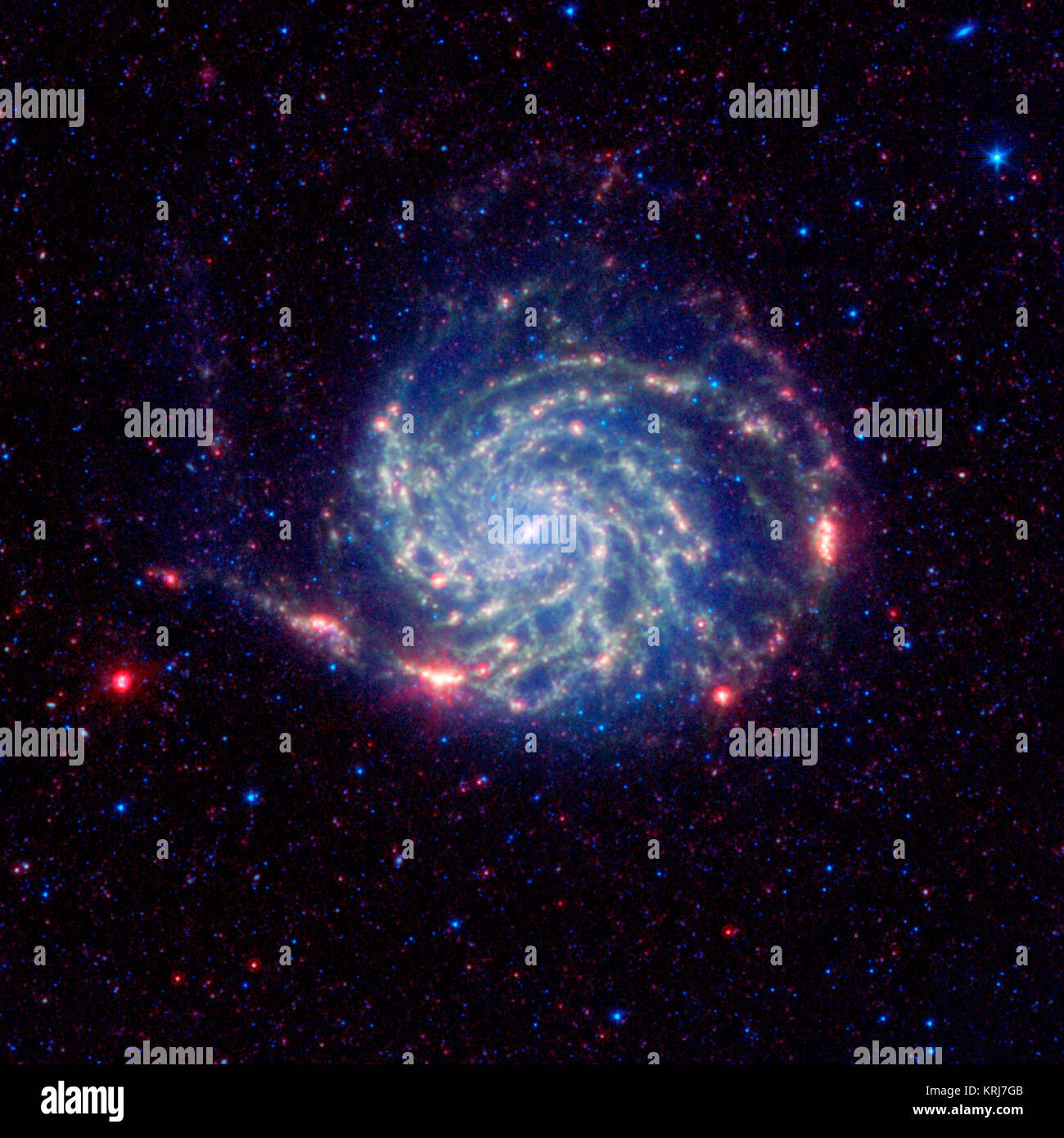 The Pinwheel galaxy, otherwise known as Messier 101, sports bright reddish edges in this new infrared image from NASA's Spitzer Space Telescope. Research from Spitzer has revealed that this outer red zone lacks organic molecules present in the rest of the galaxy. The red and blue spots outside of the spiral galaxy are either foreground stars or more distant galaxies.  The organics, called polycyclic aromatic hydrocarbons, are dusty, carbon-containing molecules that help in the formation of stars. On Earth, they are found anywhere combustion reactions take place, such as barbeque pits and exhau Stock Photo