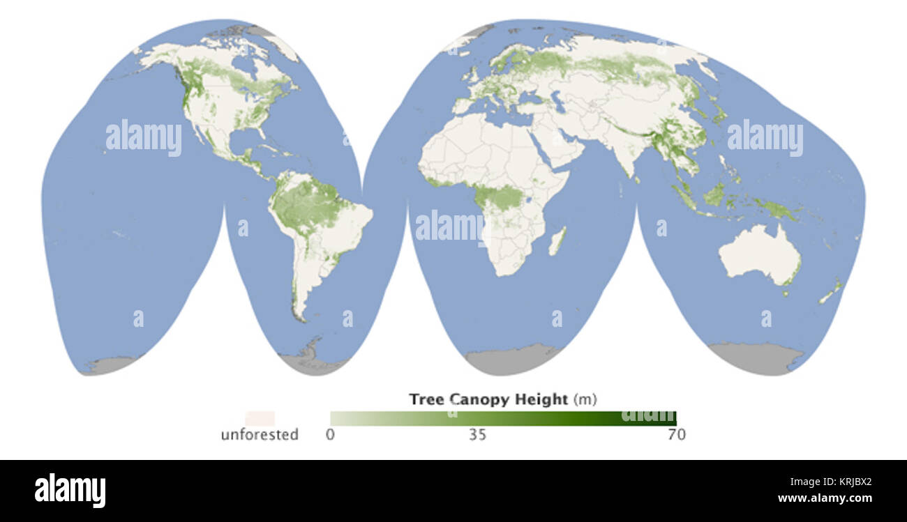 Tree For Map Forestry map Cut Out Stock Images & Pictures - Alamy