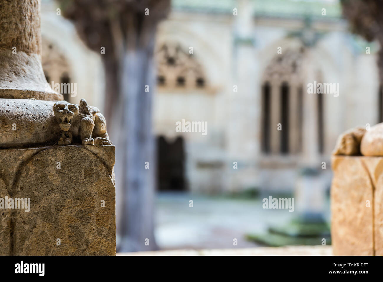 Detail in the cloister of the Cathedral in Ciudad Rodrigo. Spain. Stock Photo