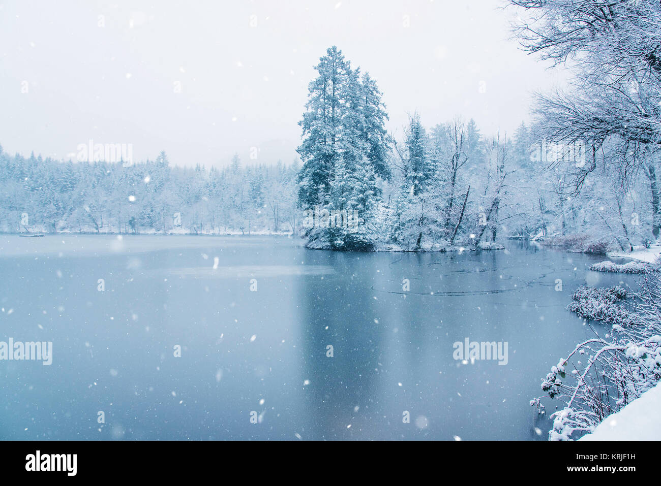 Frozen lake in snowy forest. Black forest, Germany Stock Photo - Alamy