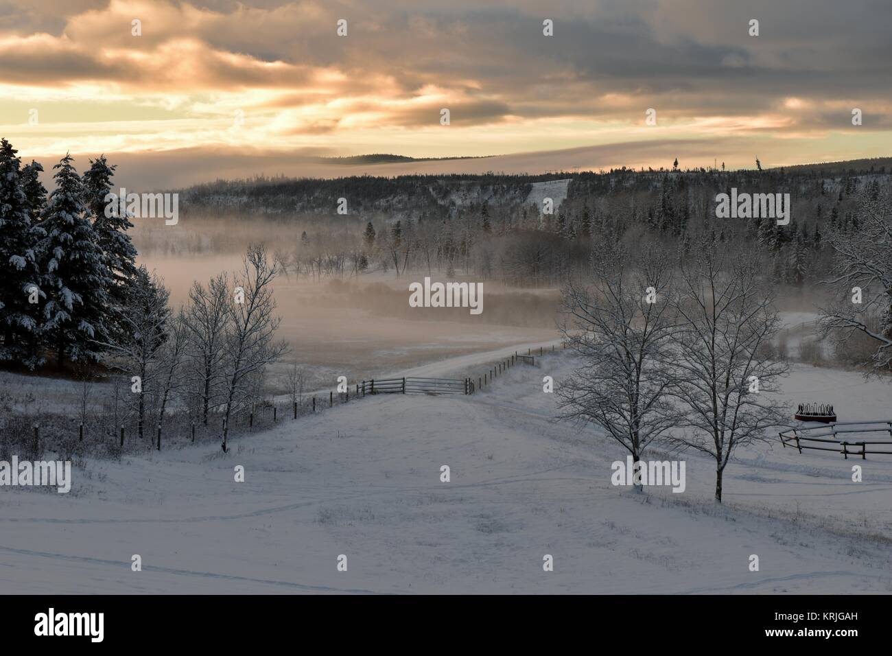 Beautiful sunrise on a foggy, misty winter morning. Taken on December 18, 2017 at 9:45 A.M. Stock Photo