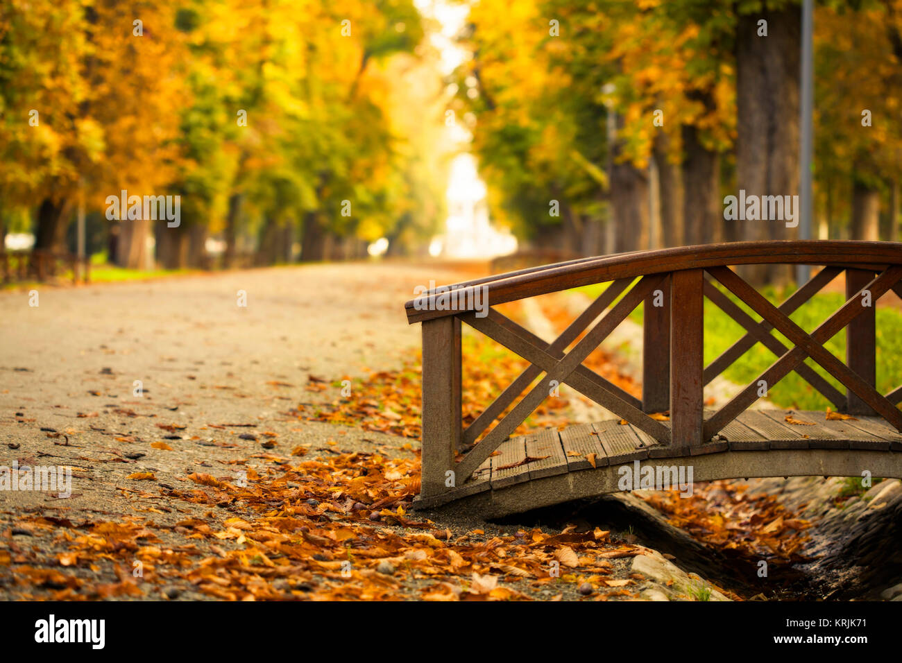 Bridge in the autumn park Stock Photo - Alamy
