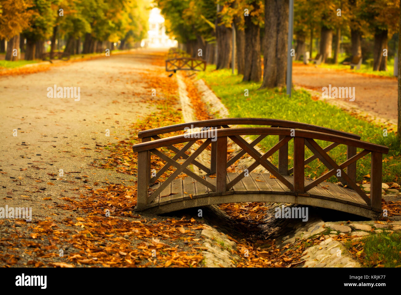 Bridge in the autumn park Stock Photo - Alamy