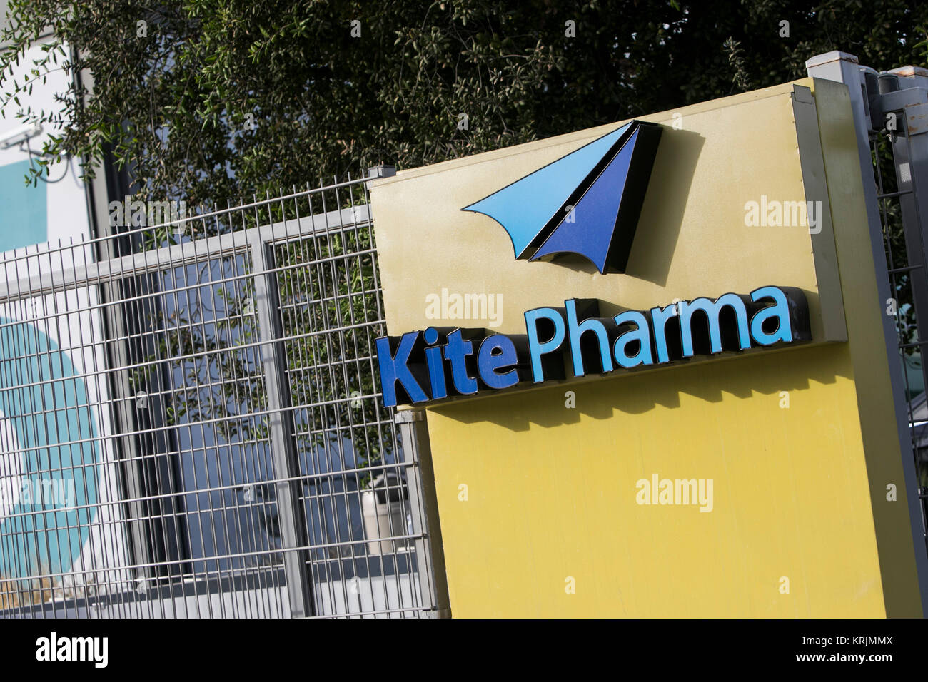 kite pharma stock price kite pharma stock price