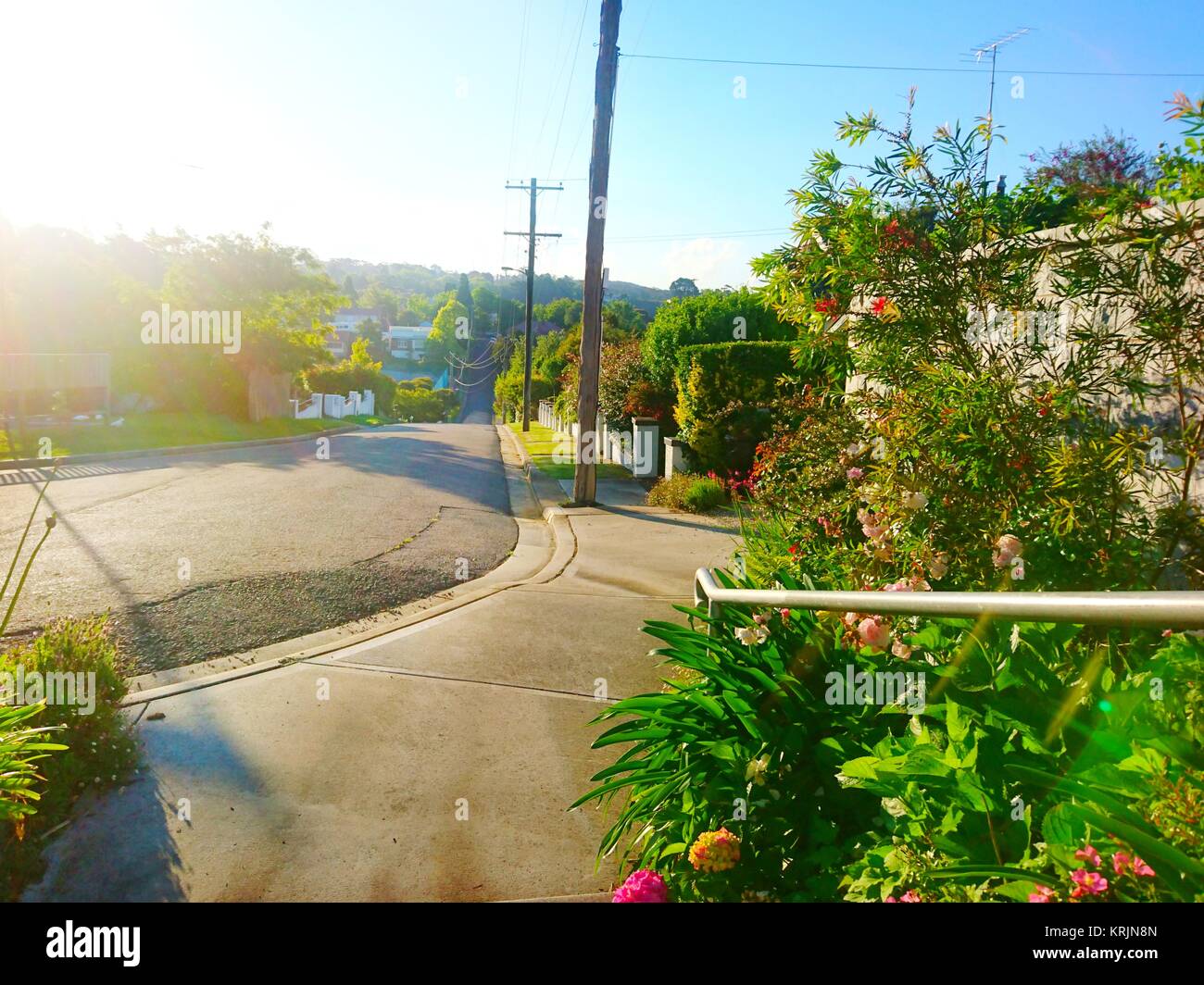 Suburban street with sidewalk and railing on steps in Blue Mountains ...
