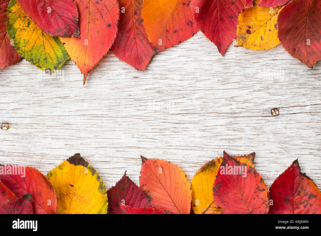 Frame made of red fall leaves on a wooden board Stock Photo