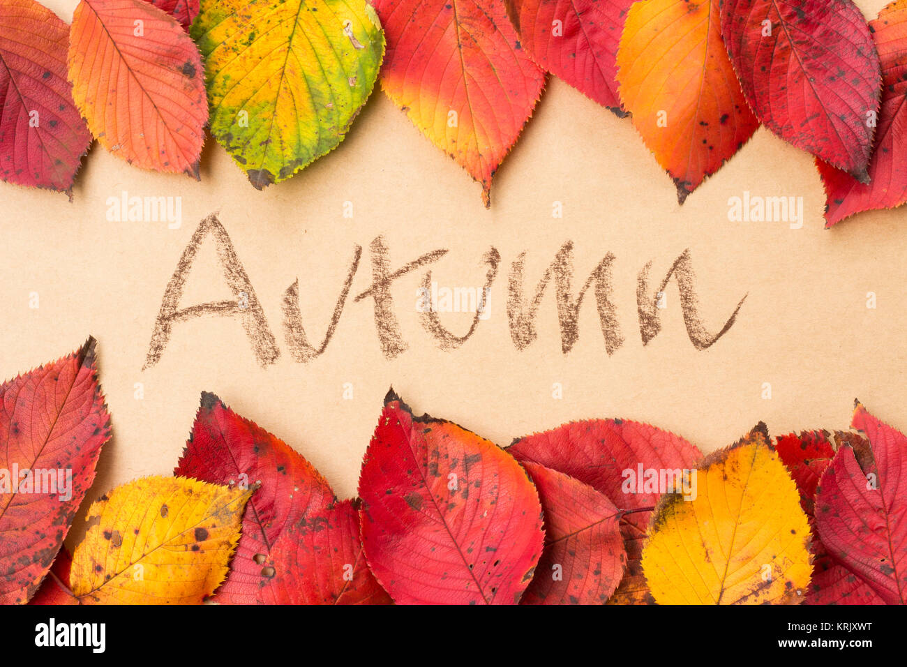 Frame made of red fall leaves and the word AUTUMN written on brown ...