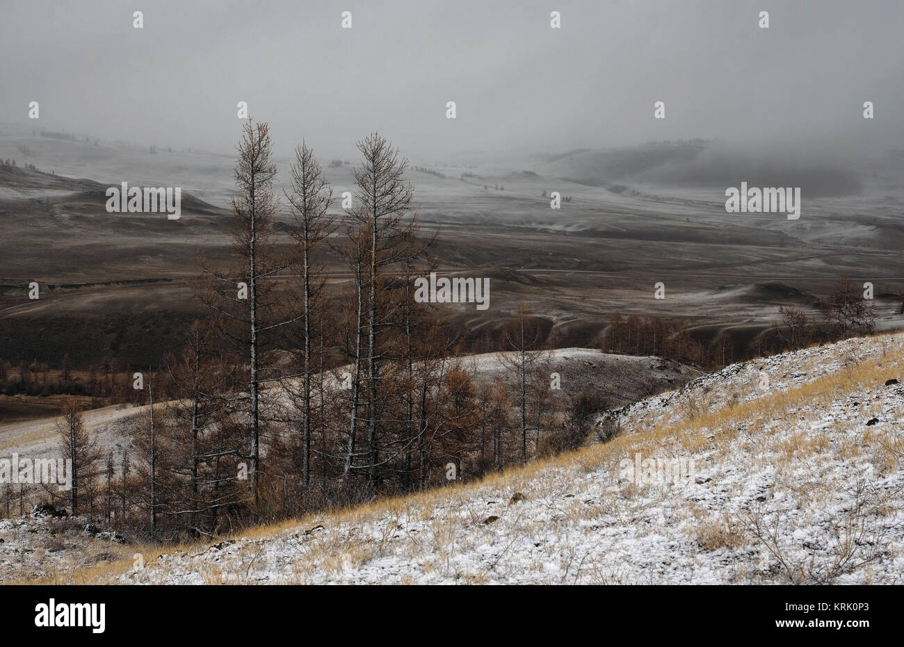 Dramatic dark desert steppe on a highland mountain plateau with ranges of  snow peaks on a horizon storm skyline Kurai Altai Mountains Siberia Russia Stock Photo