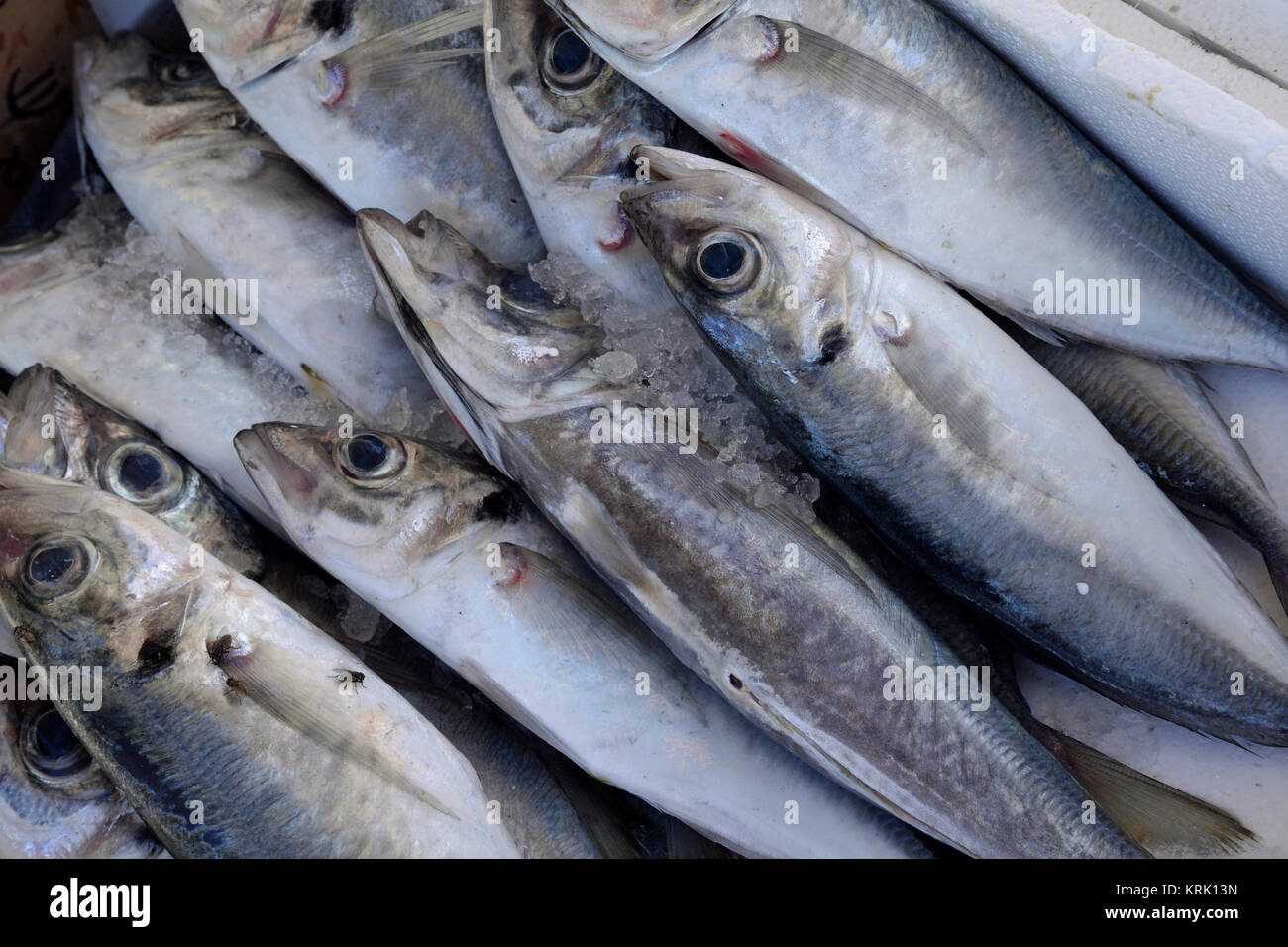 Fischwirtschaft High Resolution Stock Photography and Images - Alamy