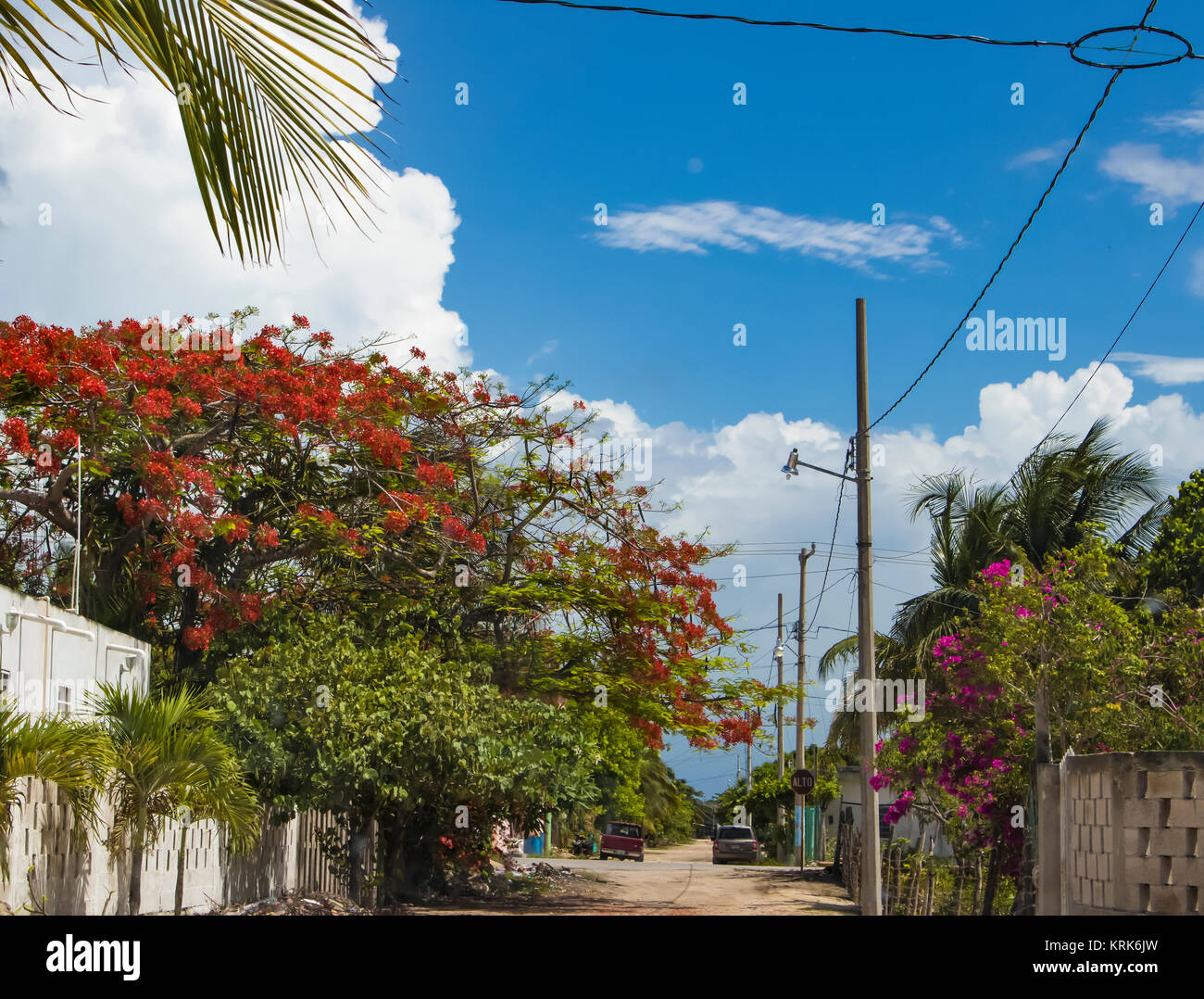 Mexican car culture hires stock photography and images Alamy