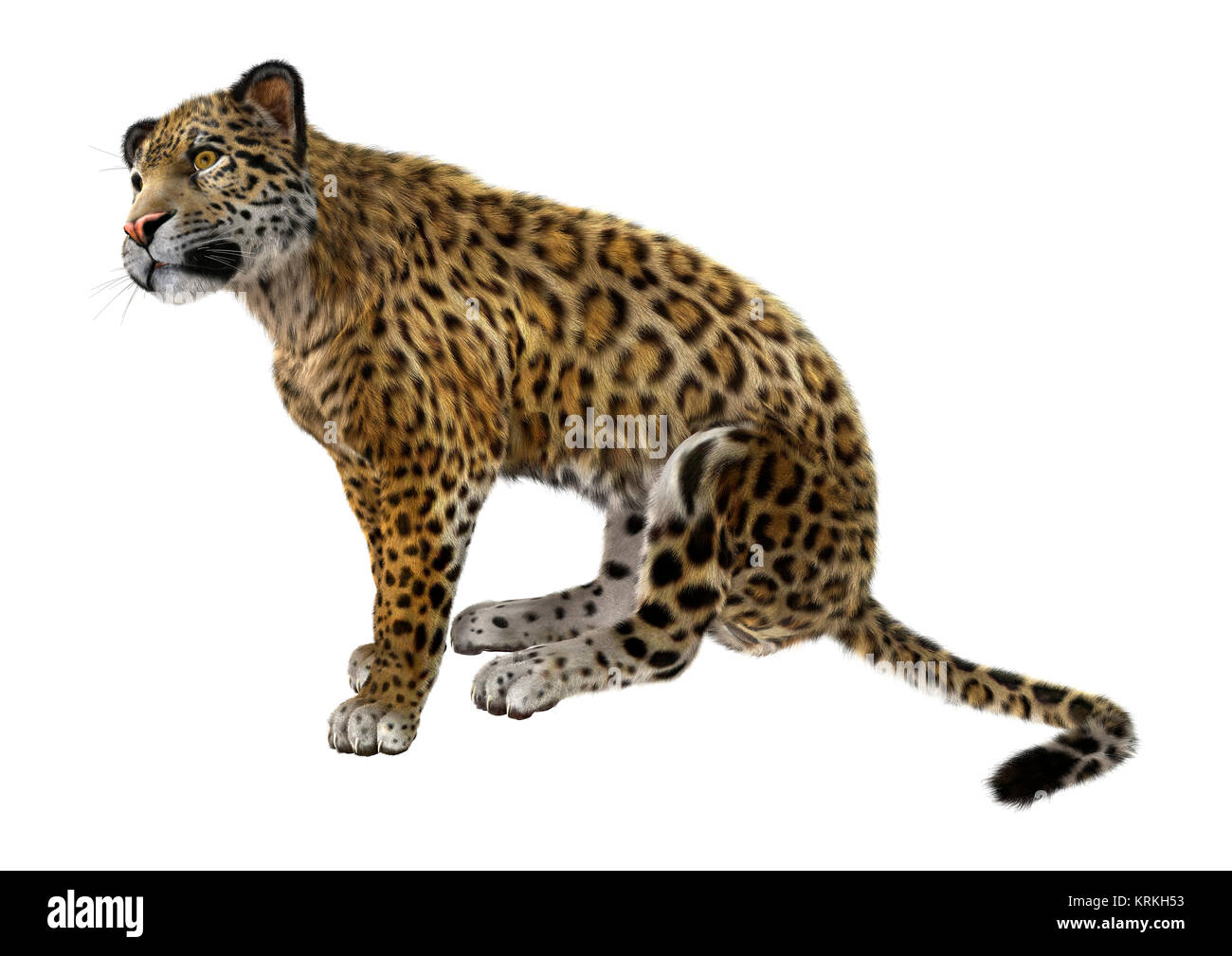 Big Cat Jaguar Stock Photo - Alamy