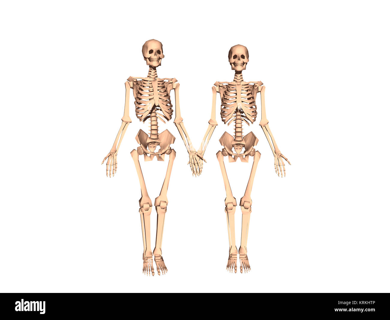 Skeleton ribs hi-res stock photography and images - Alamy